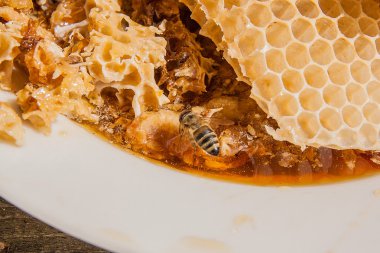 Tatlı tatlım ile petek üzerinde çalışma arı görünümü kadar kapatın