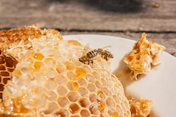 Zblízka pohled pracovní Bee na honeycomb s sladké zlato — Stock fotografie