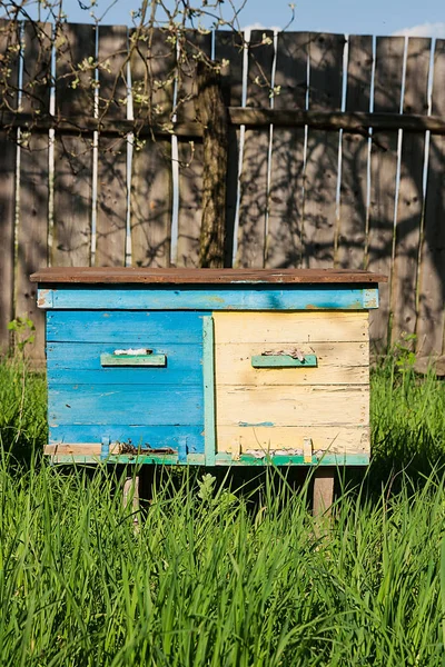 Beehives on the fruit garden in Ukraine. — Stock Photo, Image