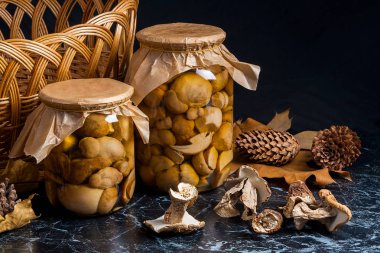 İki cam kavanoz turşu mantar ve kuru beyaz vahşi mu