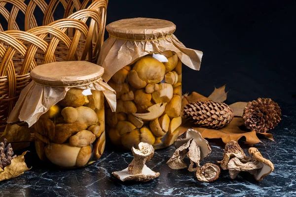 Two glass jars with wild pickled mushrooms and dry white wild mu — Stock Photo, Image