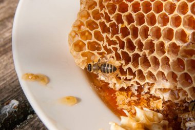 Tatlı tatlım ile petek üzerinde çalışma arı görünümü kadar kapatın