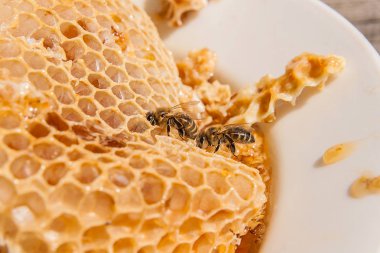 Tatlı tatlım ile petek üzerinde çalışma arı görünümü kadar kapatın