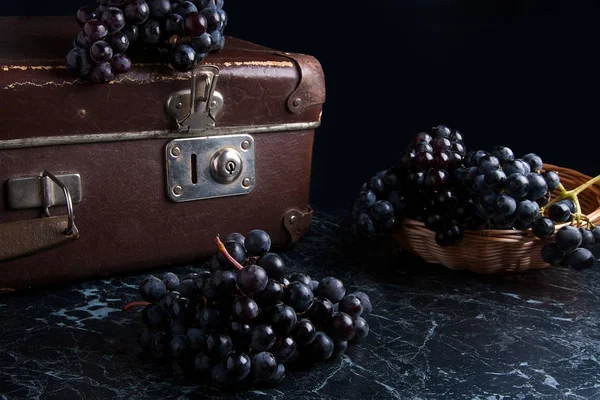 Cluster of blue grapes on dark marble background. Vintage case o — Stock Photo, Image