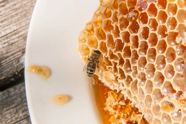 Zblízka pohled pracovní Bee na honeycomb s sladké zlato — Stock fotografie