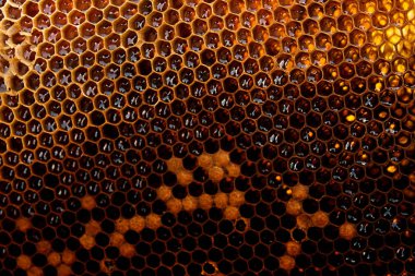 Tatlı bal ile petek görünümünü. 