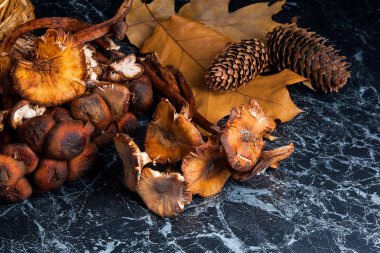 Vahşi siyah mermer zemin üzerine mantar.