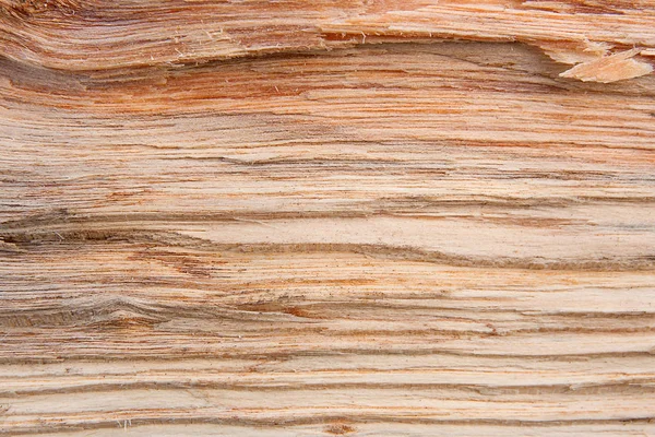 Textura de madera abstracta . —  Fotos de Stock