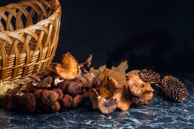 Vahşi siyah mermer zemin üzerine mantar.