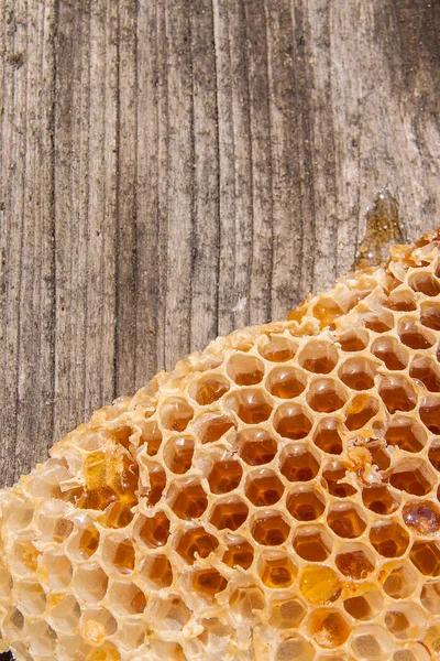 Balmumu petek arı kovanına vintage ahşap geri gelen bölümünü