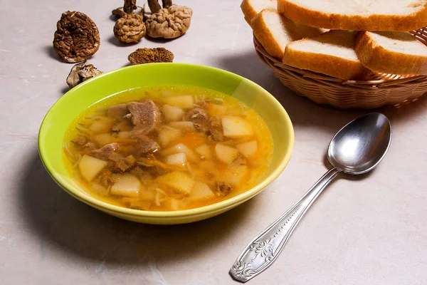 Houbová polévka v zelené deska s kovovou lžičkou, sušené divoké mushro — Stock fotografie
