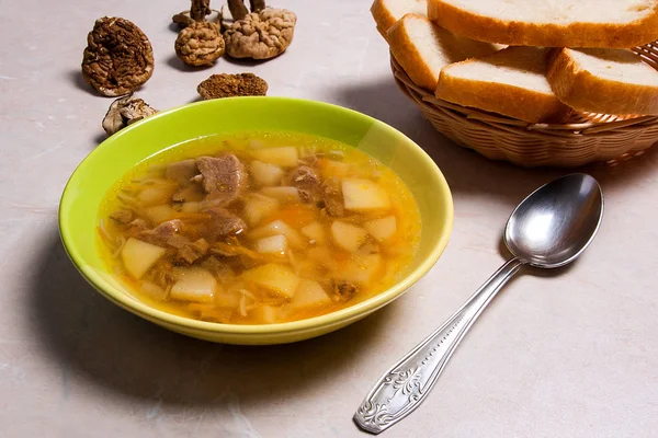 Sopa de cogumelos em placa verde com colher de metal, cogumelo selvagem seco — Fotografia de Stock