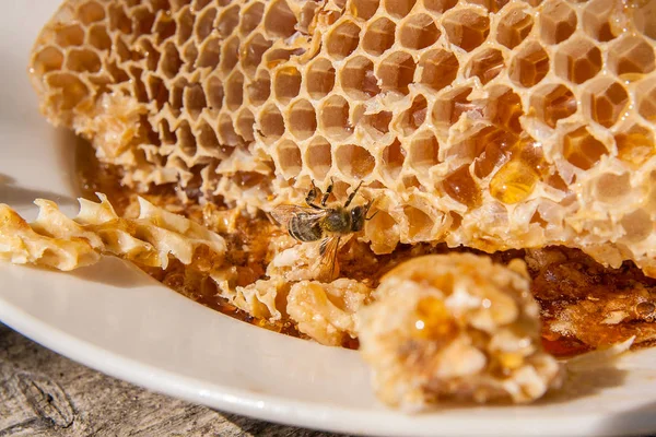 Zblízka pohled pracovní Bee na honeycomb s sladké zlato — Stock fotografie