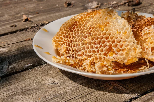 Placa branca com seção de favo de mel de cera de colmeia na vi — Fotografia de Stock