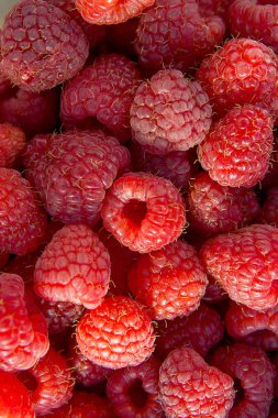 Arka plan olarak olgun ahududu yakın çekim. 