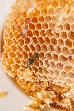 Tatlı tatlım ile petek üzerinde çalışma arı görünümü kadar kapatın