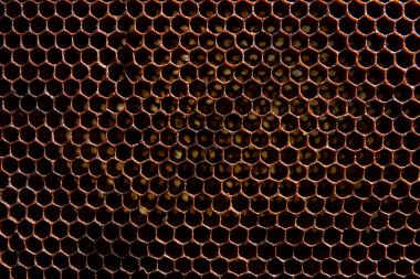 Balmumu petek arı kovanı arka plan olarak gelen bölümünü.