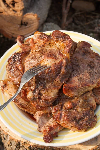 Vista de perto de suculento bife de porco em garfo cozido em uma chama aberta — Fotografia de Stock