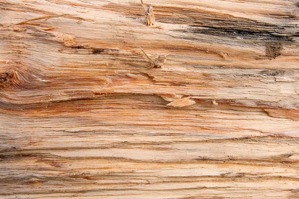 Анотація дерев'яні текстури . — стокове фото