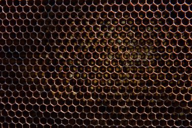 Balmumu petek arı kovanı arka plan olarak gelen bölümünü.