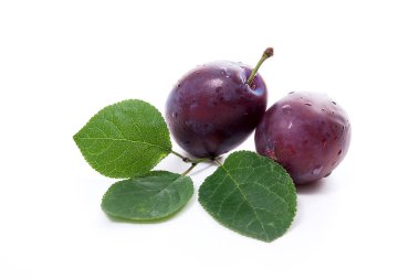 Grup olgun Erik yaprak beyaz bir arka plan üzerinde izole.