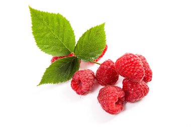 Olgun ahududu yaprağı üzerinde beyaz adam izole