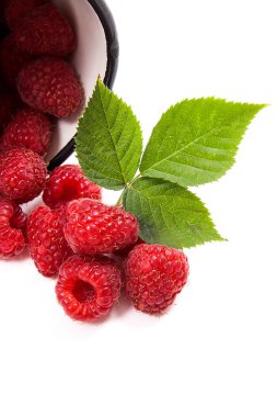 Olgun Ahududu ve yeşil yaprak üzerinde beyaz izole ile beyaz fincan