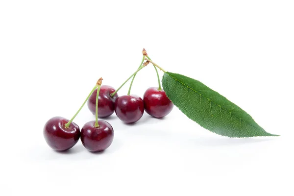 Sweet cherry isolerad på en vit bakgrund — Stockfoto