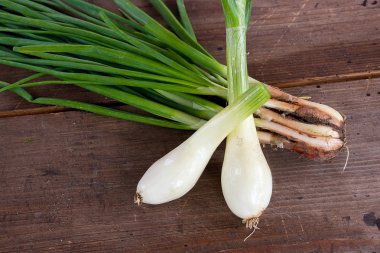 Taze soğan, vintage ahşap arka plan üzerinde hasat sebzeler