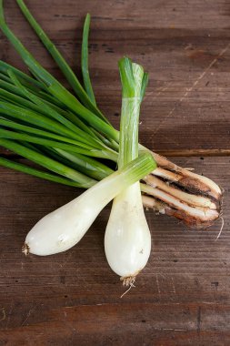 Taze soğan, vintage ahşap arka plan üzerinde hasat sebzeler