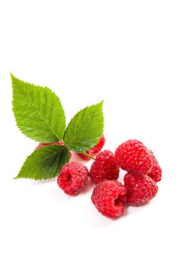 Olgun ahududu yaprağı üzerinde beyaz adam izole