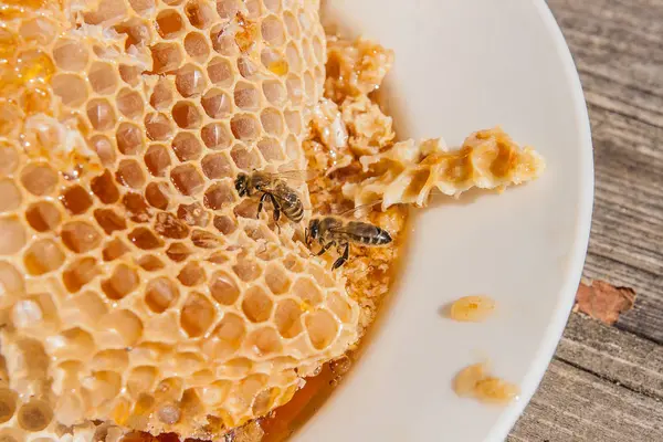 Zblízka pohled pracovní Bee na honeycomb s sladké zlato — Stock fotografie