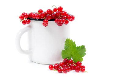 Frenk üzümü berry ve küçük demet cu kırmızı ile beyaz Kupası