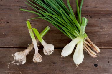 Ampul ve taze soğan, vintage w üzerinde hasat sebzeler sarımsak