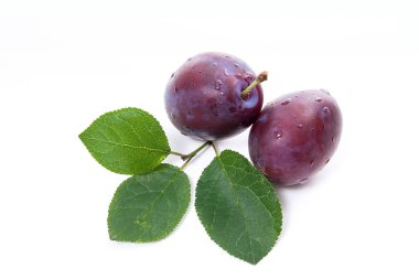 Grup olgun Erik yaprak beyaz bir arka plan üzerinde izole.