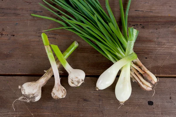 Ampul ve taze soğan, vintage w üzerinde hasat sebzeler sarımsak
