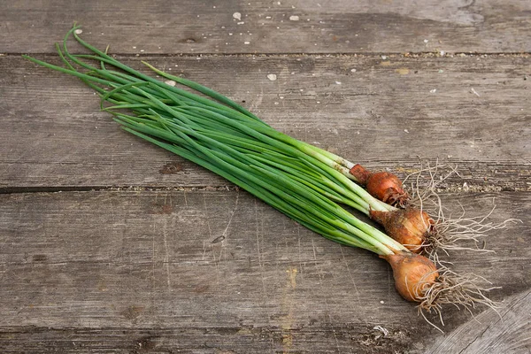 Taze soğan, vintage ahşap arka plan üzerinde hasat sebzeler