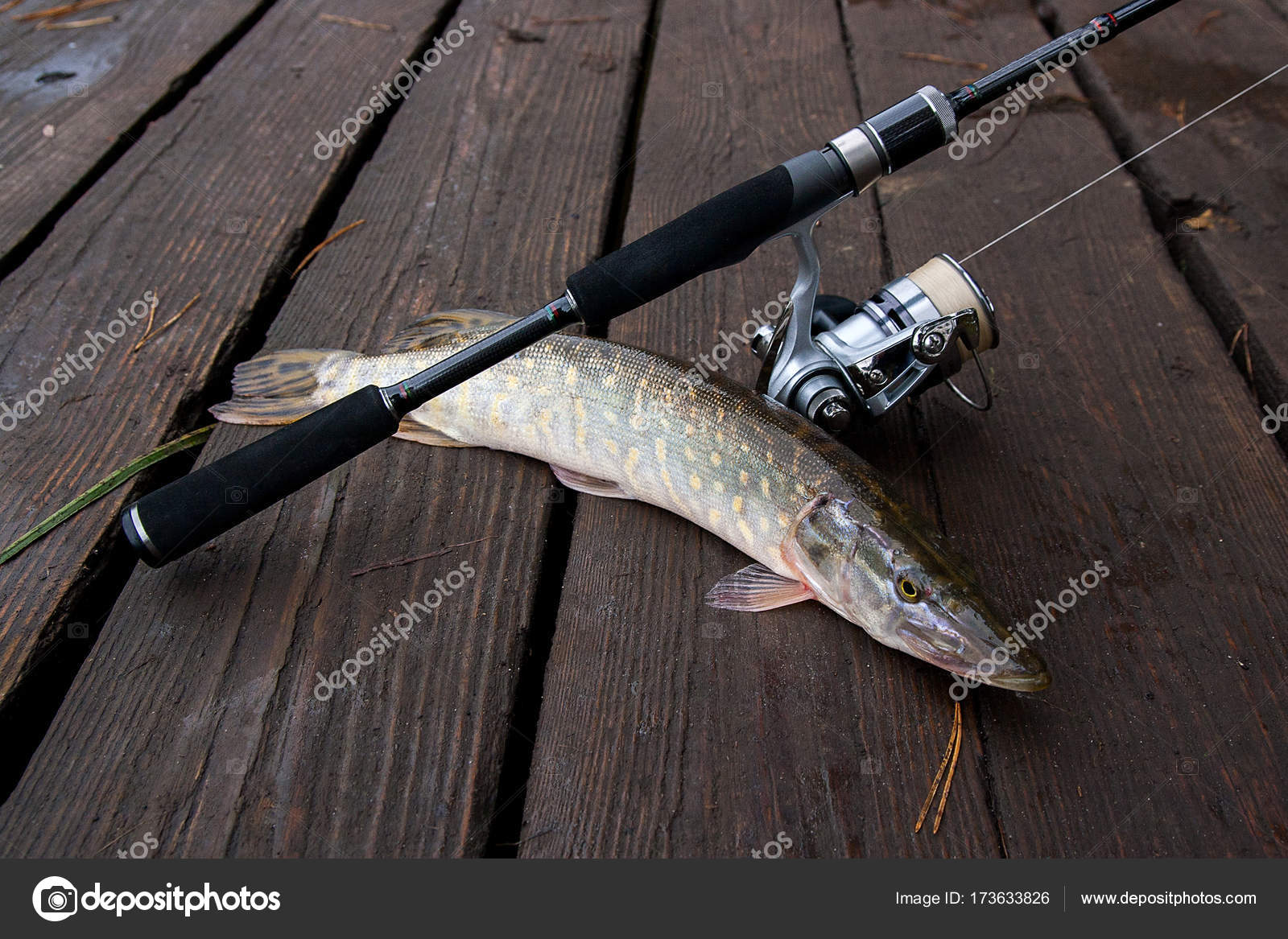 pike fishing equipment
