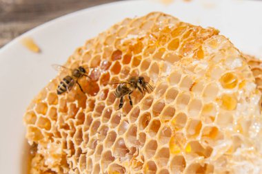 Tatlı tatlım ile petek üzerinde çalışma arı görünümü kadar kapatın