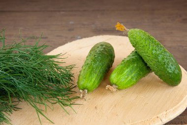 Salatalık ve Demet taze organik dereotu bir rustik ahşap bac üzerinde