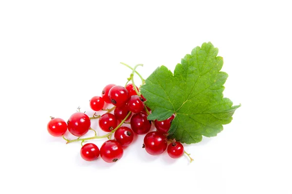 Red currant berry isolated on white. A bunch of red currant — Stock Photo, Image