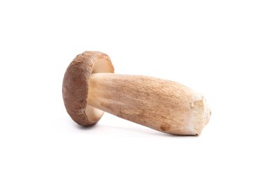 Boletus mantarı whit üzerinde izole olarak bilinen tek Porcini mantar