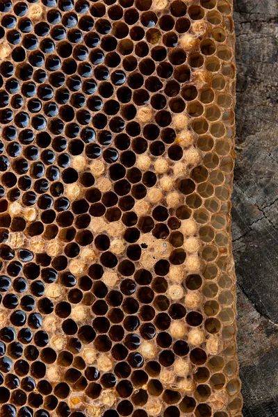 Закрыть вид медовухи с медовухой на винтажном фоне — стоковое фото