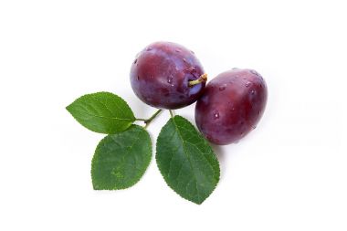 Grup olgun Erik yaprak beyaz bir arka plan üzerinde izole.