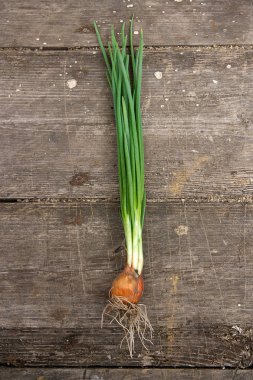 Taze soğan, vintage ahşap arka plan üzerinde hasat sebzeler