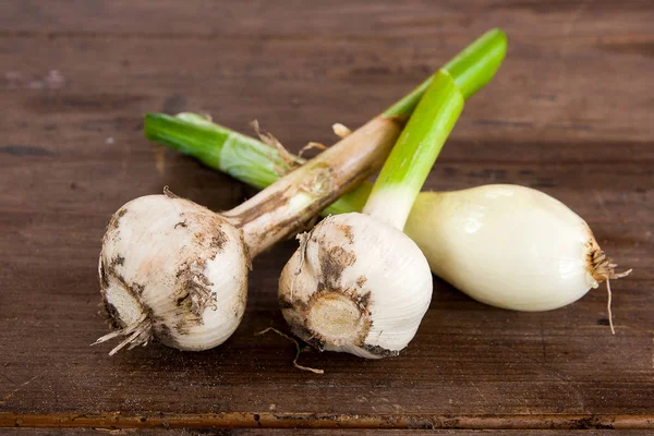 Garlic Bulb and Spring onions, harvested vegetables on vintage w