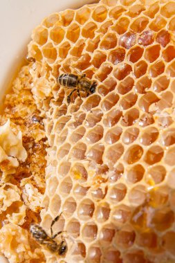 Tatlı tatlım ile petek üzerinde çalışma arı görünümü kadar kapatın