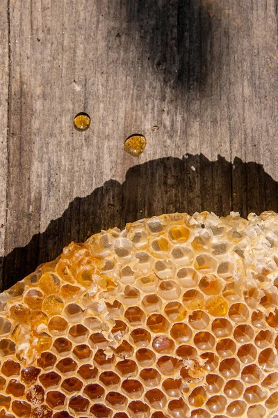 Viasz méhsejt a beehive a vintage fából készült hátsó része — Stock Fotó