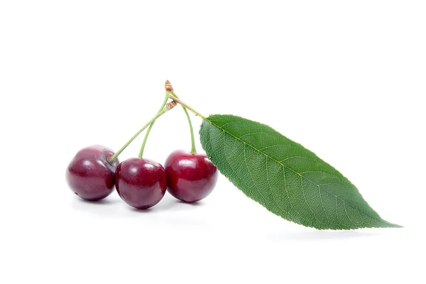 Sweet cherry isolerad på en vit bakgrund — Stockfoto