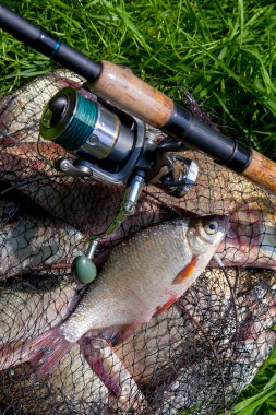 Br ile keepnet tek tatlı su beyaz çipura veya gümüş çipura